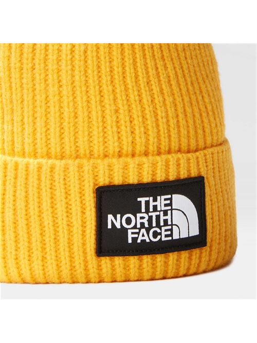 tnf logo box cuffed beanie THE NORTH FACE | NF0A3FJX56P1.56P1